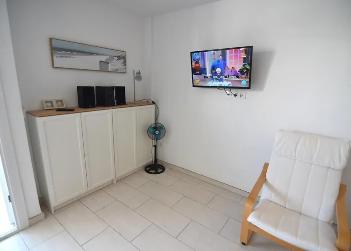 Rnet - Symar - Roses